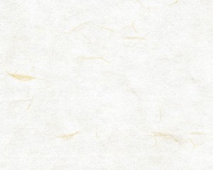 top_bg003