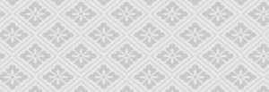 top_bg004